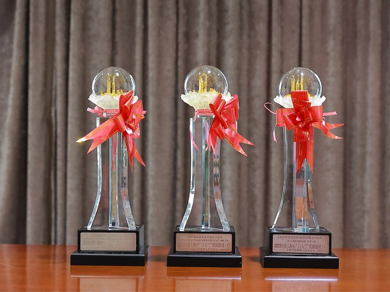 風発グループのいくつかのプロジェクトが上海マグノリア品質建設工学賞を受賞