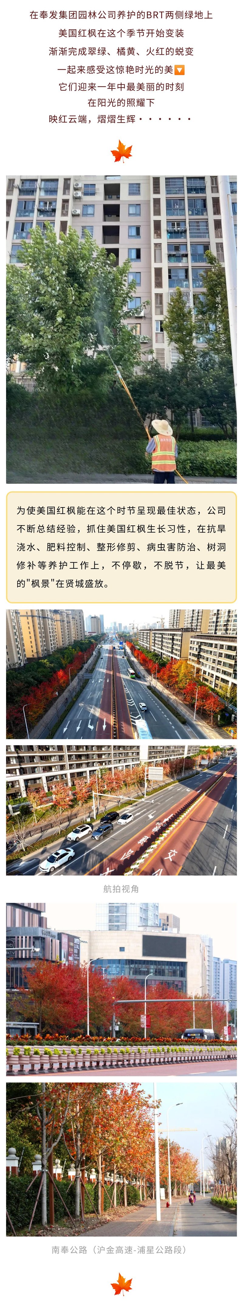 園芸会社が素晴らしい時間の美しさを体験するようご案内します