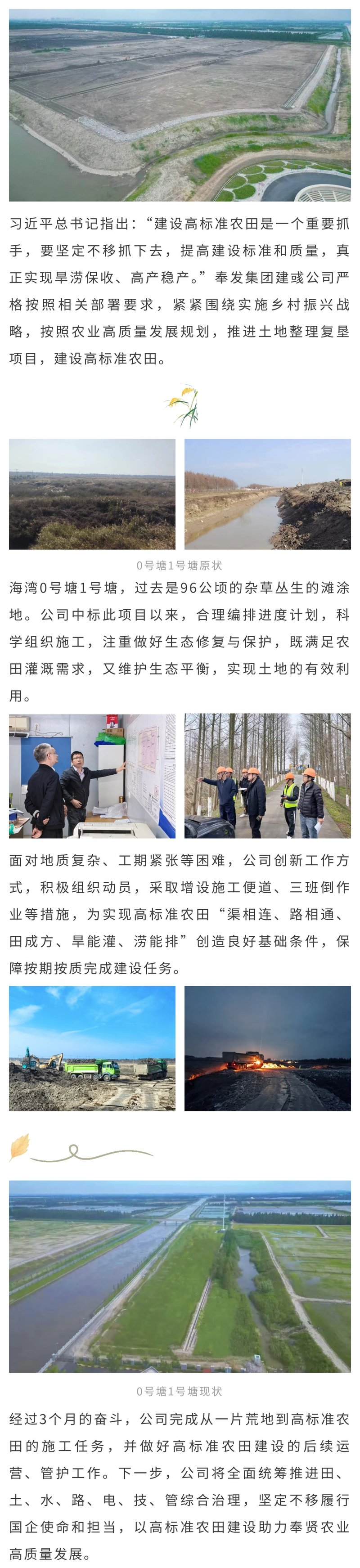 Jianyu Company の水田干拓は成果を上げ、荒れ地を数千エーカーの肥沃な土地に変えました