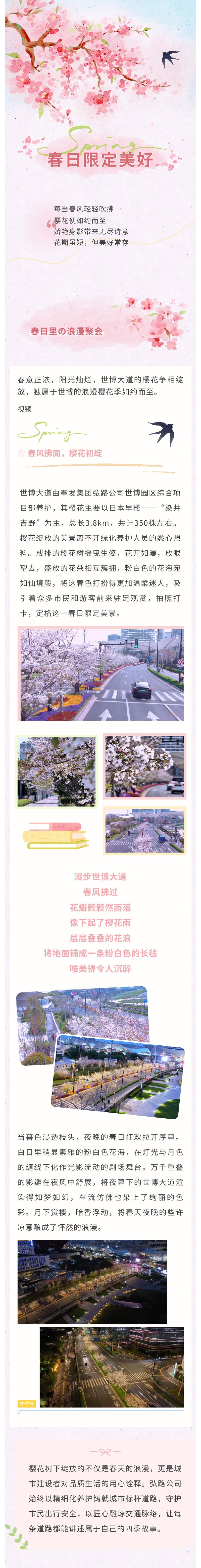 ロマンチックな桜、美しい景色