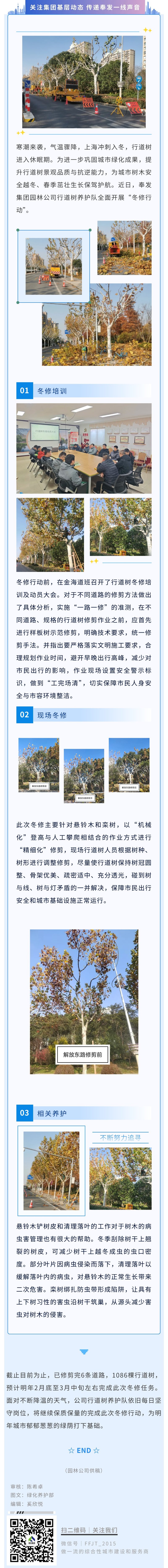 「一度に 1 つずつ修理」の正確なメンテナンス!奉賢園、都市緑陰の「エネルギー貯蔵」として街路樹の冬季メンテナンスを開始
