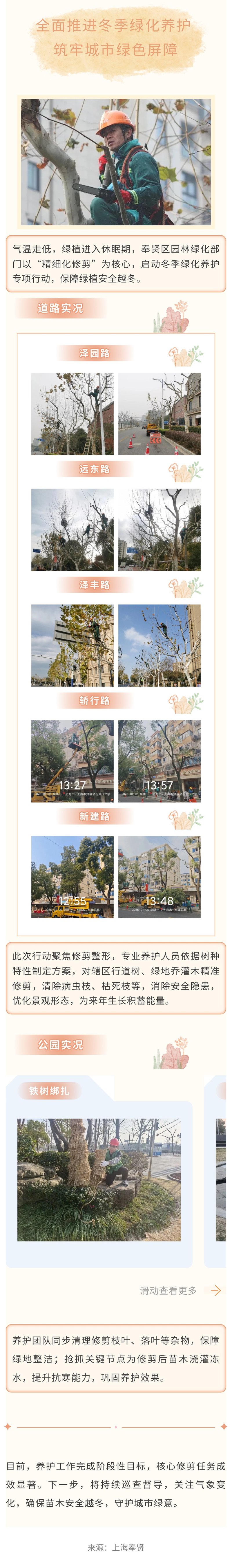 木々を「軽やかに戦いに挑み」、安全に冬を乗り切りましょう！ Fengxian Gardener が「ビューティーケア」モードを開始