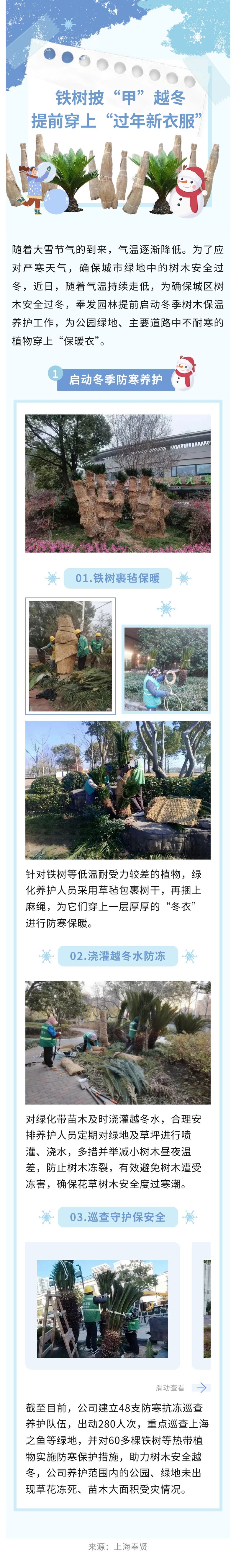 鉄の木は冬を越すために「鎧」を着て、事前に「新年に向けて新しい服」を着ます